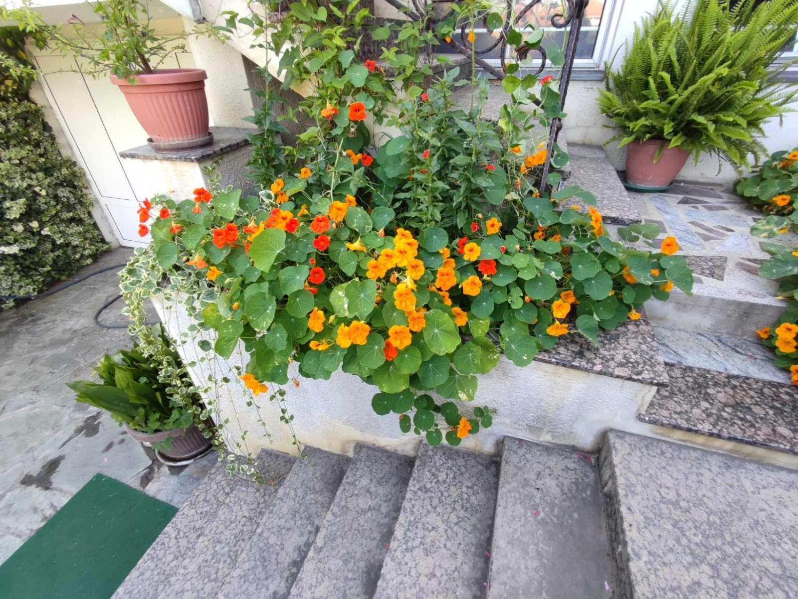 Vila Sentic Vranje Exterior foto