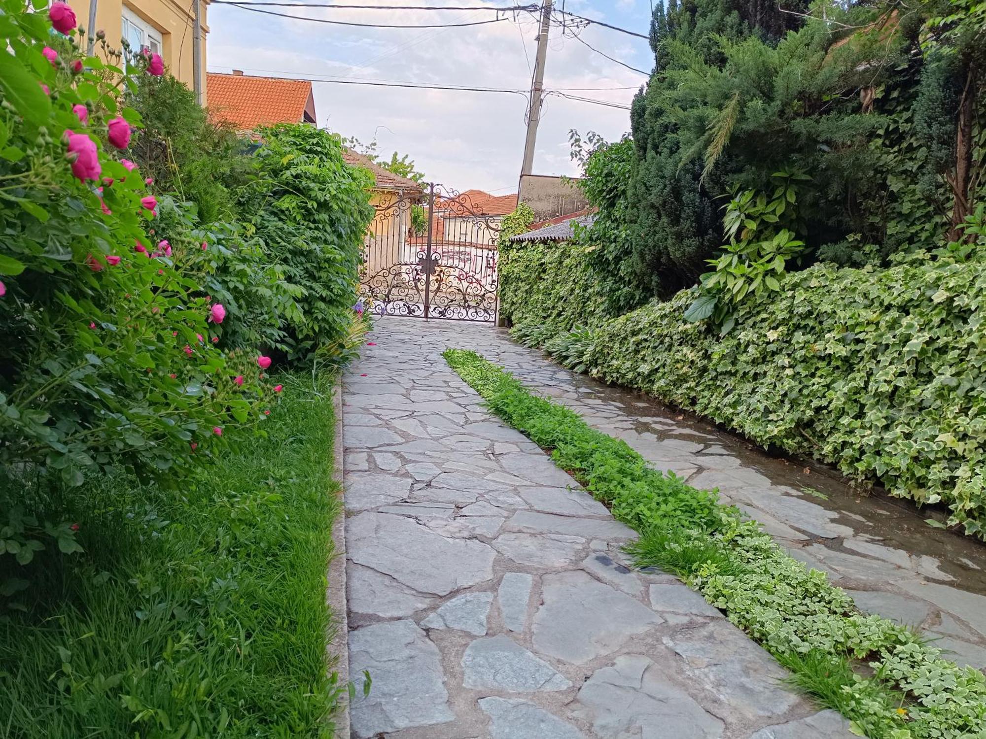 Vila Sentic Vranje Exterior foto
