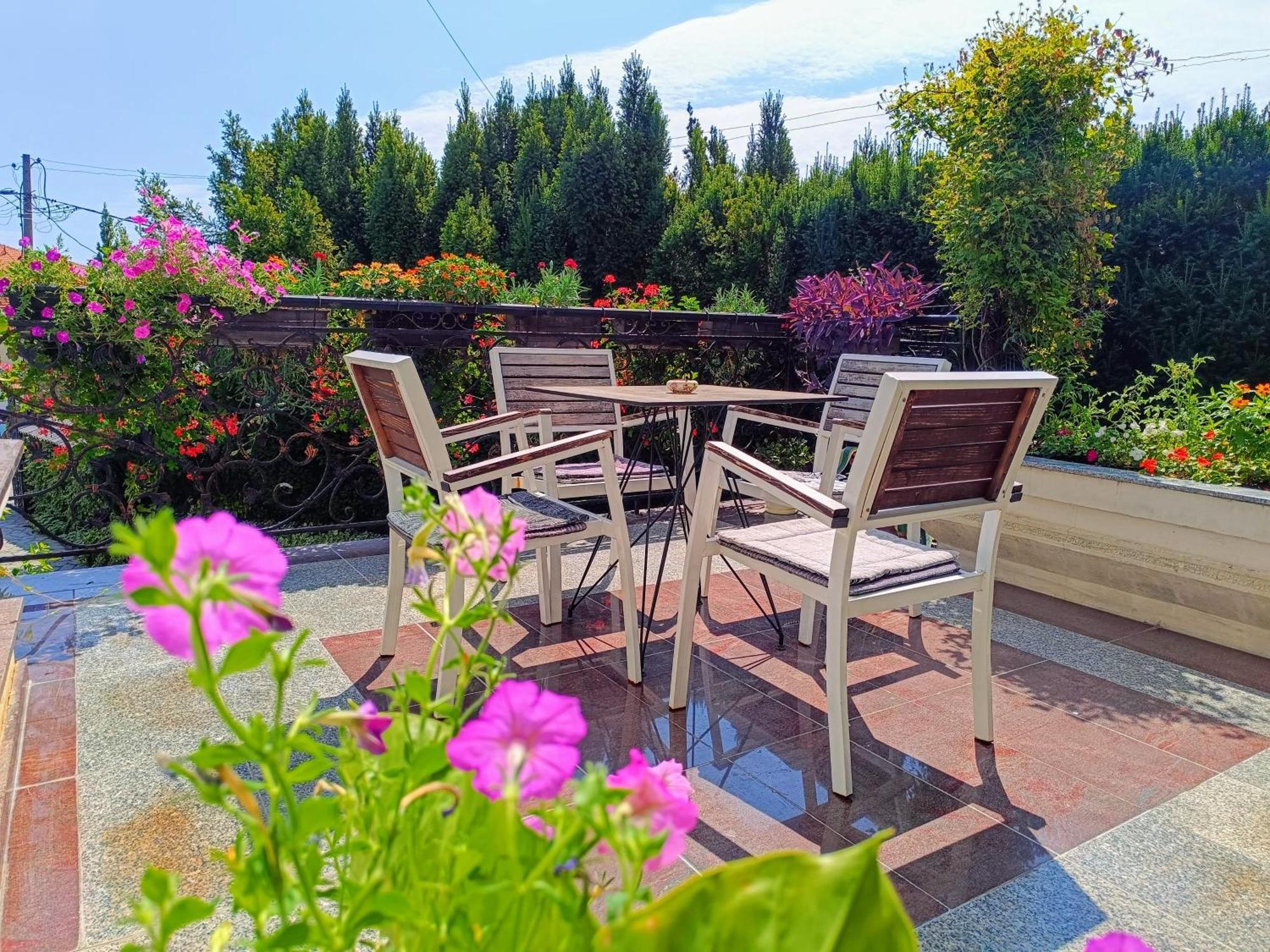 Vila Sentic Vranje Exterior foto