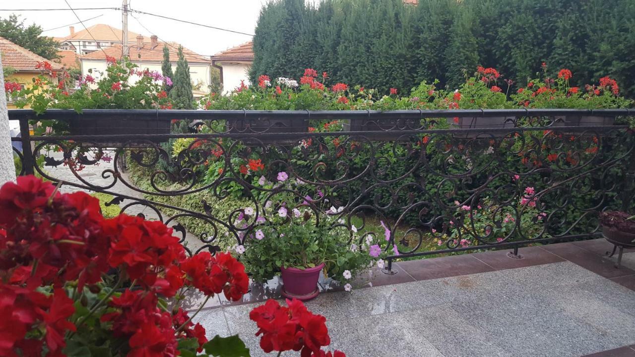 Vila Sentic Vranje Exterior foto