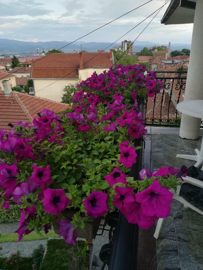 Vila Sentic Vranje Exterior foto