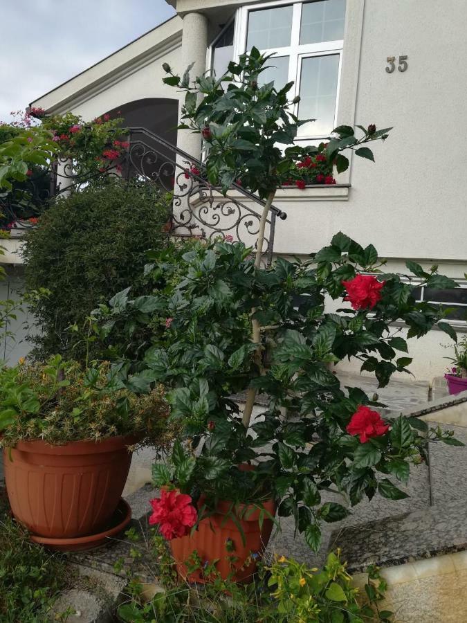 Vila Sentic Vranje Exterior foto
