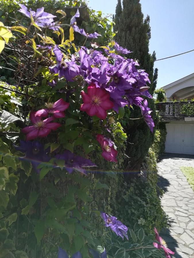 Vila Sentic Vranje Exterior foto